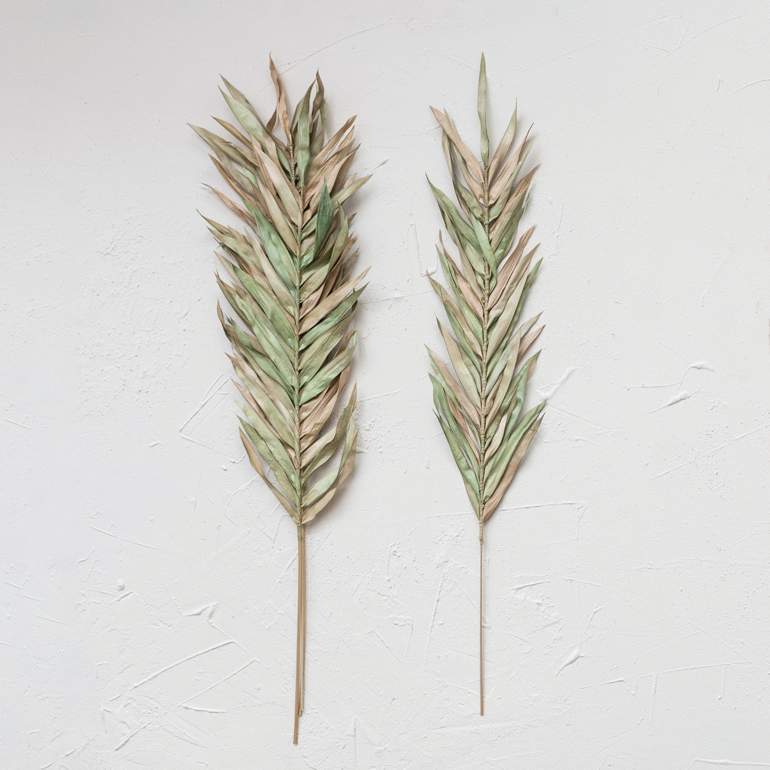 Dried Natural Fountain Palm Bunch
