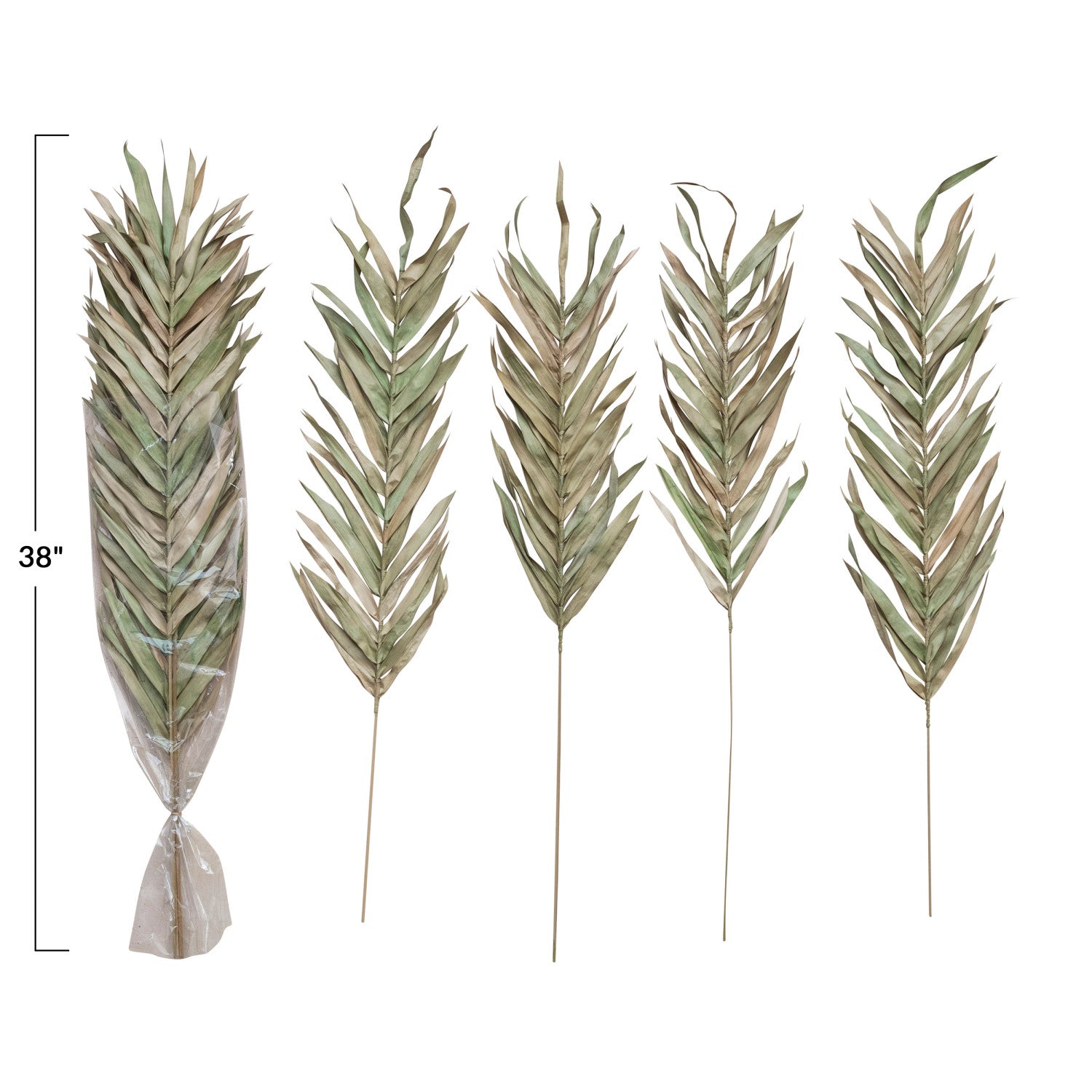 Dried Natural Fountain Palm Bunch