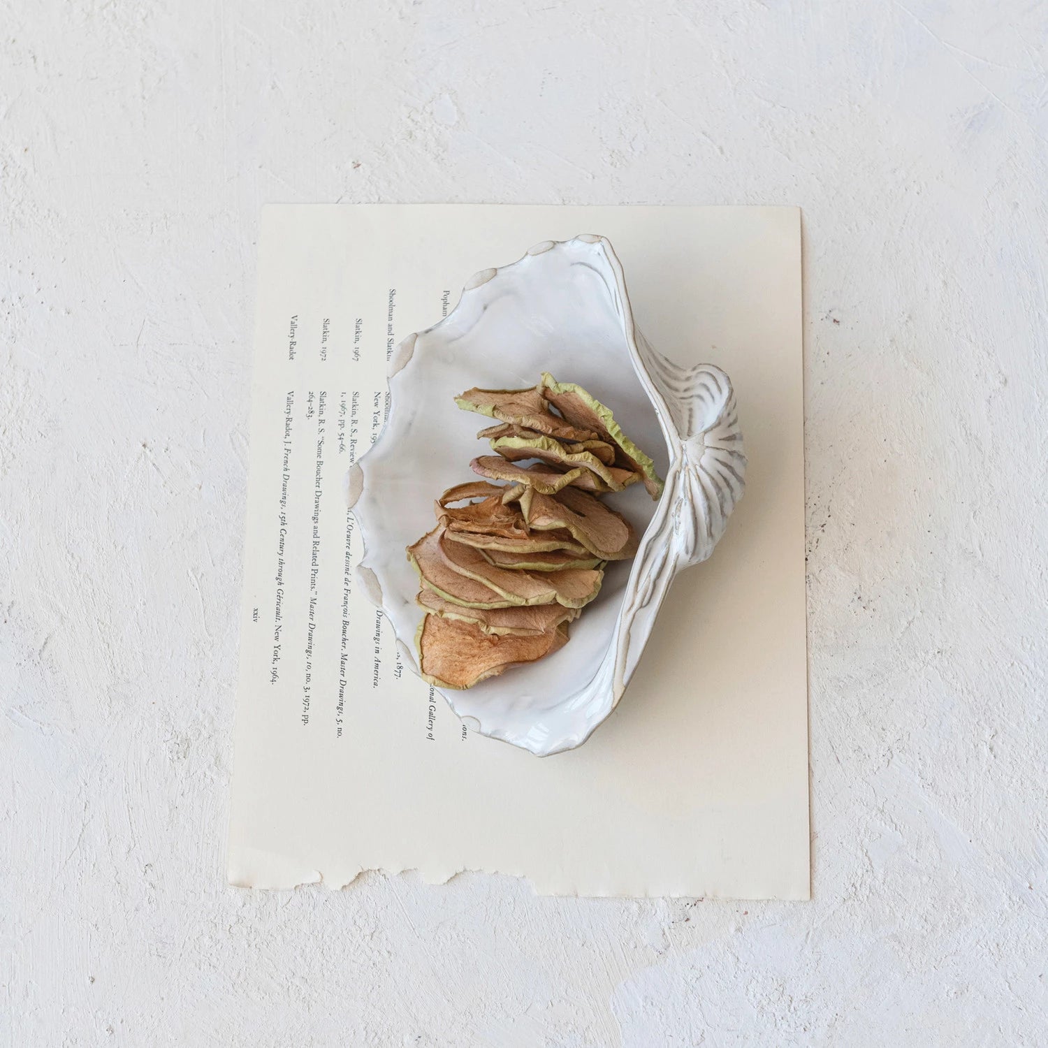 Bimini Shell Plate - Salt &amp; Creek