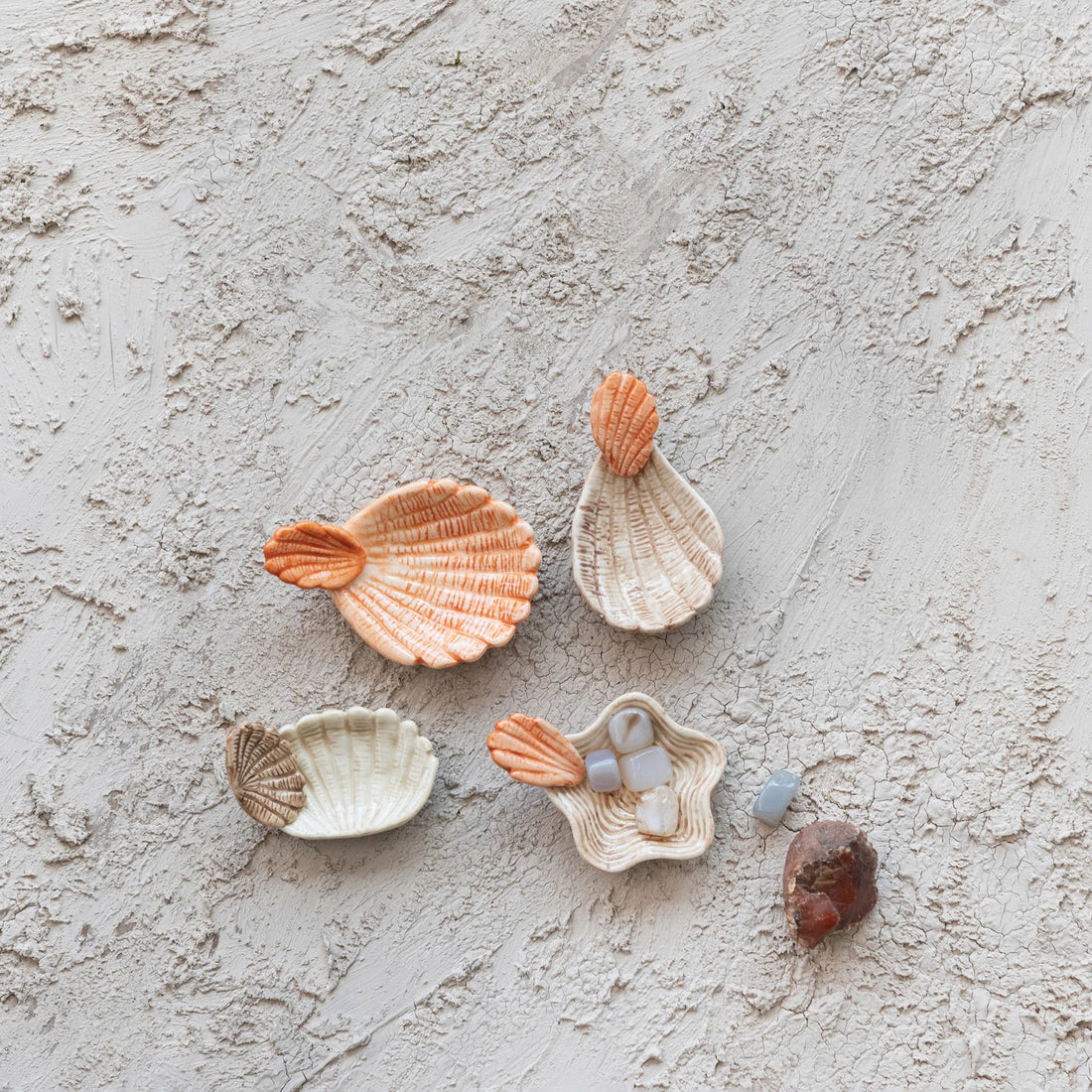Abaco Shell Dish - Set of 4