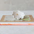 Aquarius Shell Shaped Dish - Salt & Creek