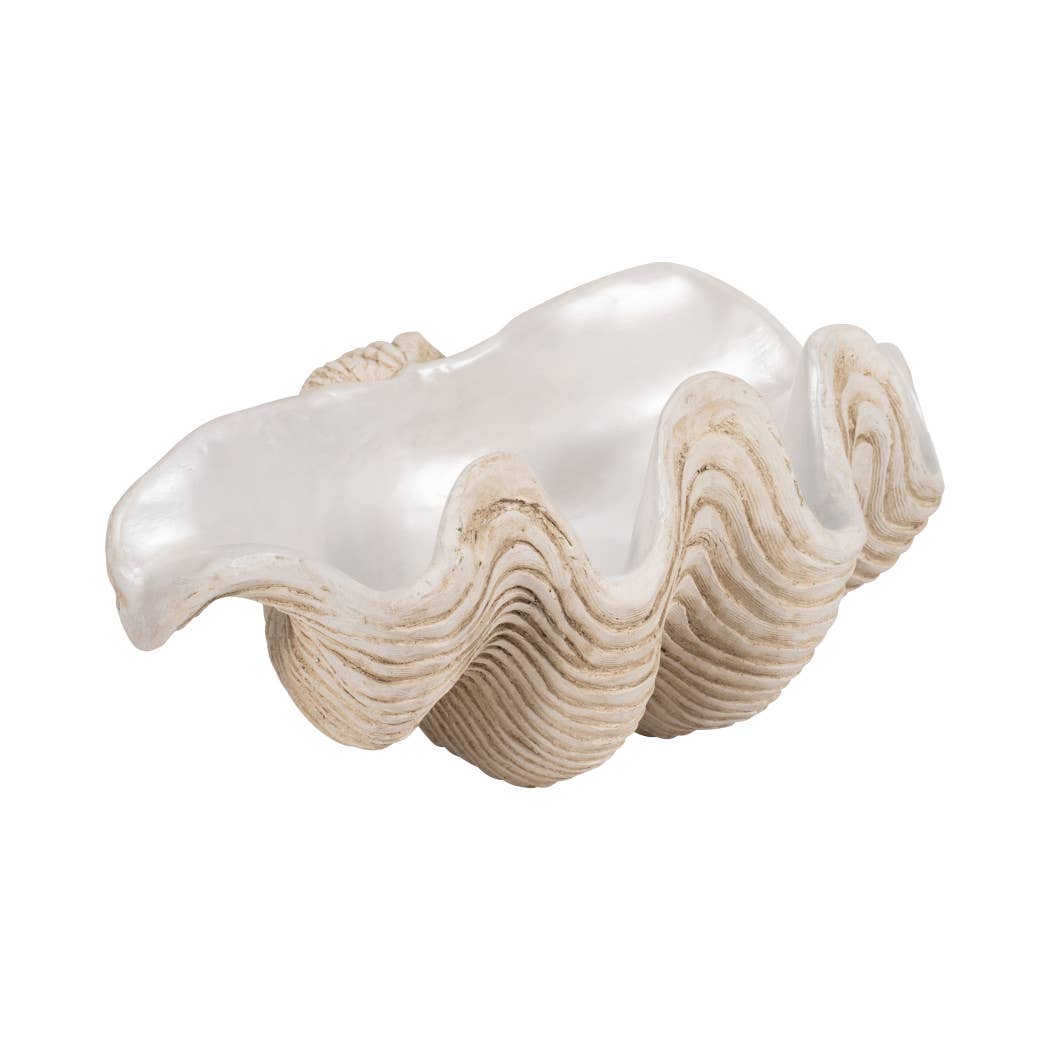 Coastal Muse Clam
