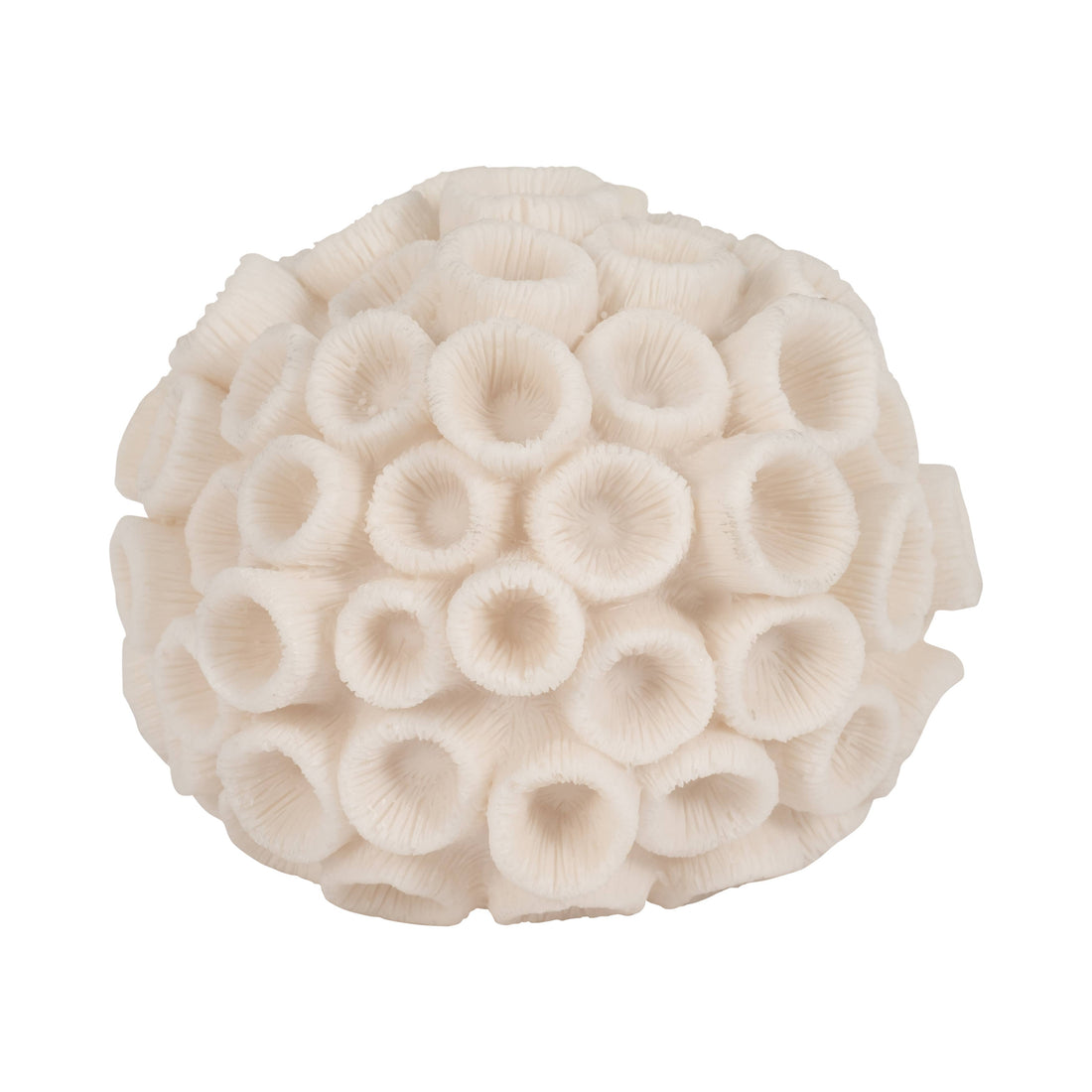 Nerina Coral Sculpture - Salt &amp; Creek