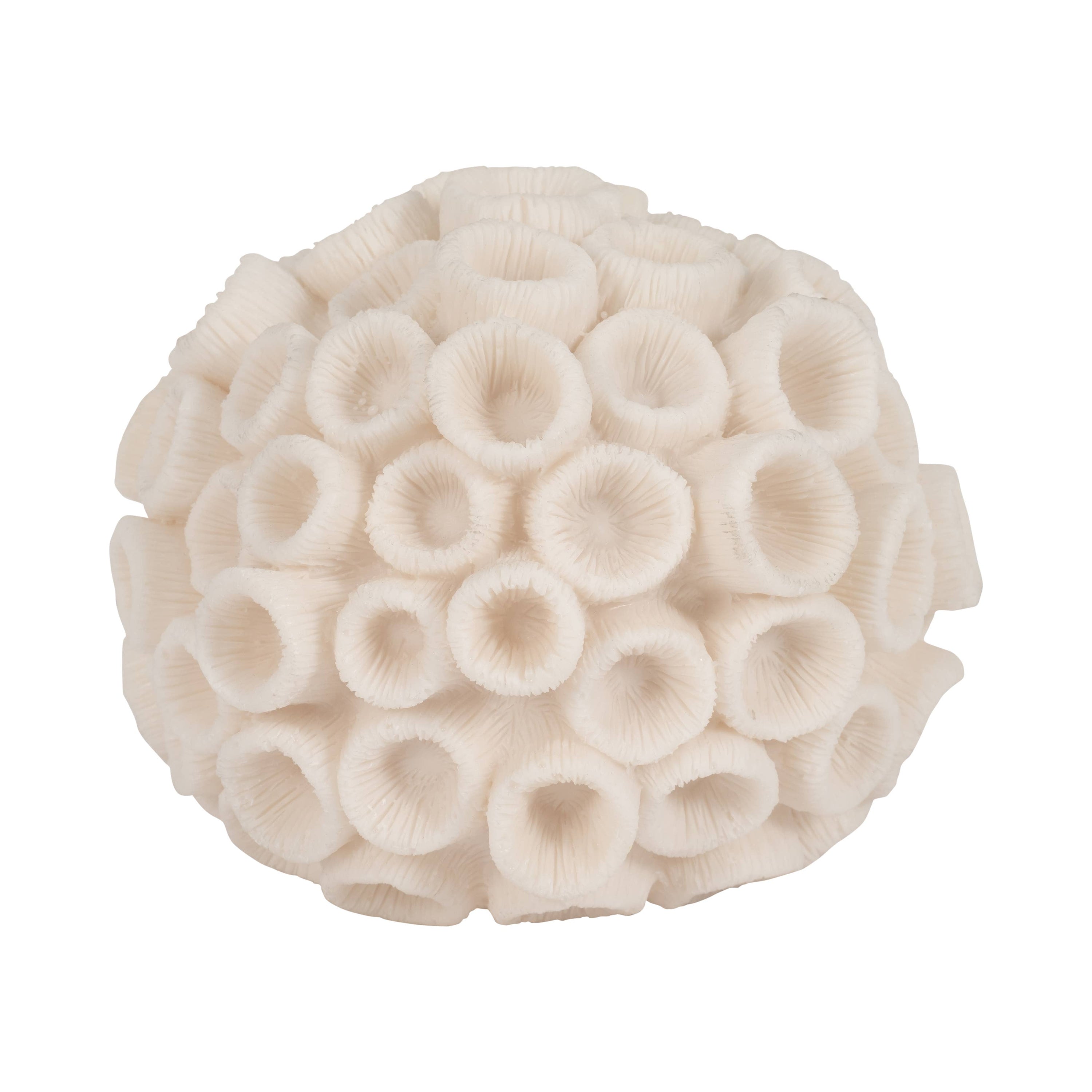 Sculptural Coral