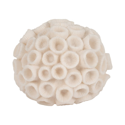 Sculptural Coral